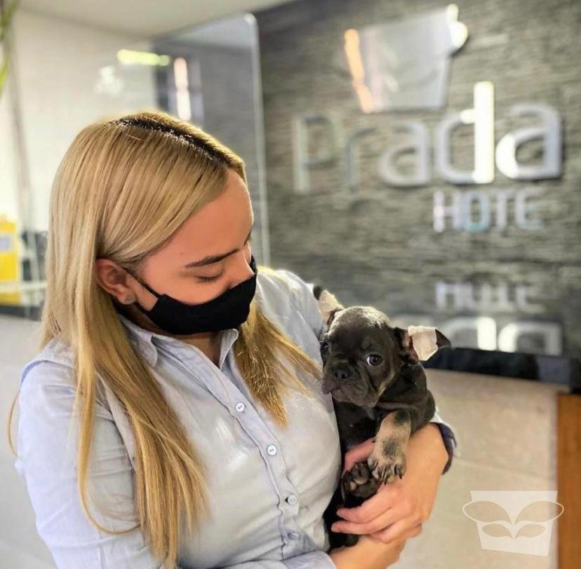 Hotel Prada Sas Bello Bagian luar foto